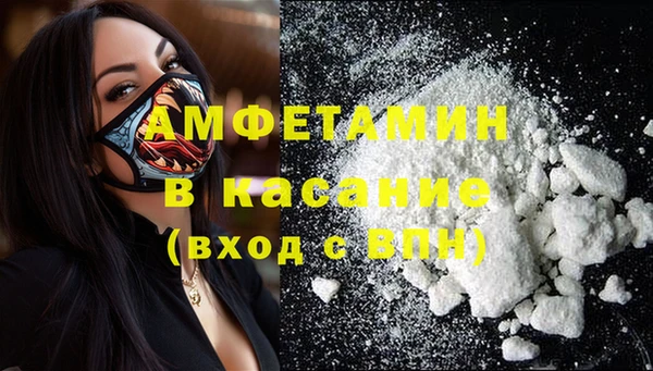стафф Алексин