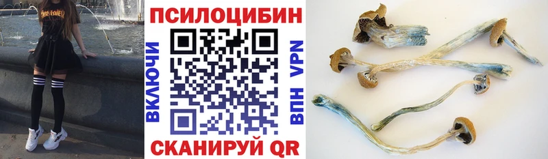 Галлюциногенные грибы Magic Shrooms Звенигород