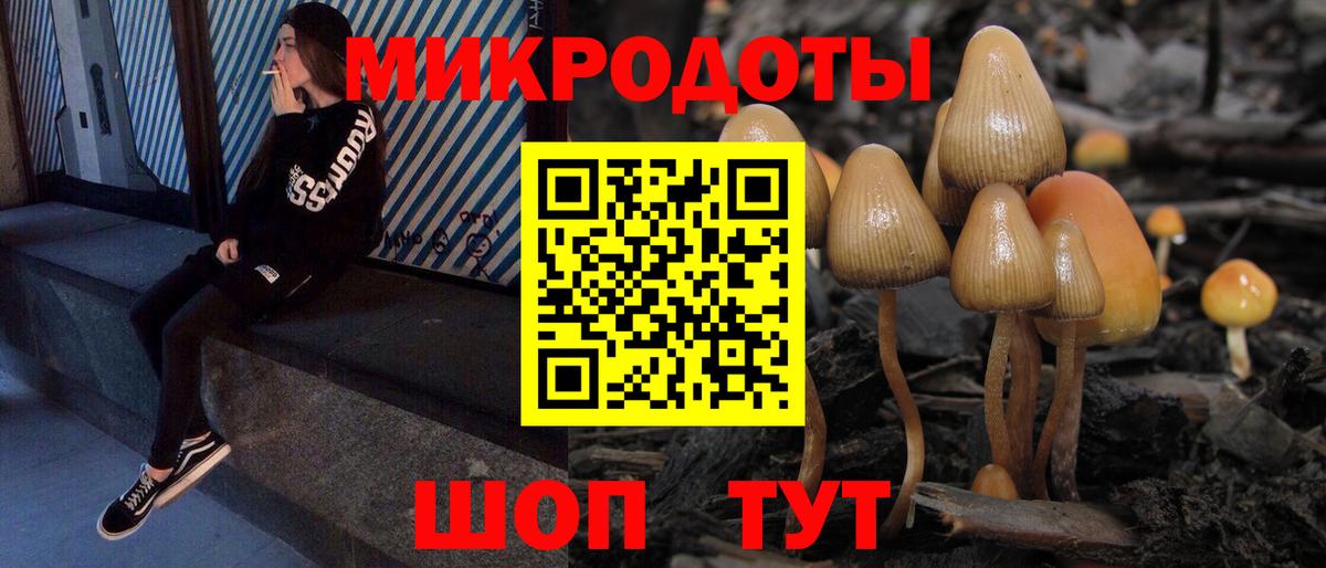 Галлюциногенные грибы Cubensis Звенигород
