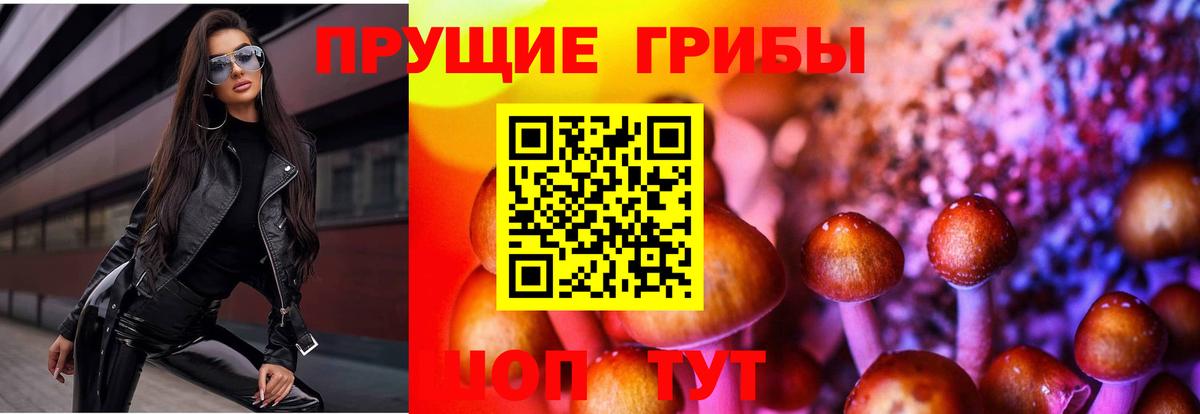 Псилоцибиновые грибы прущие грибы  Вход с VPN  Галлюциногенные грибы мухоморы  Звенигород 