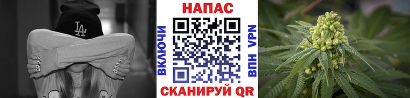 Марихуана план Звенигород